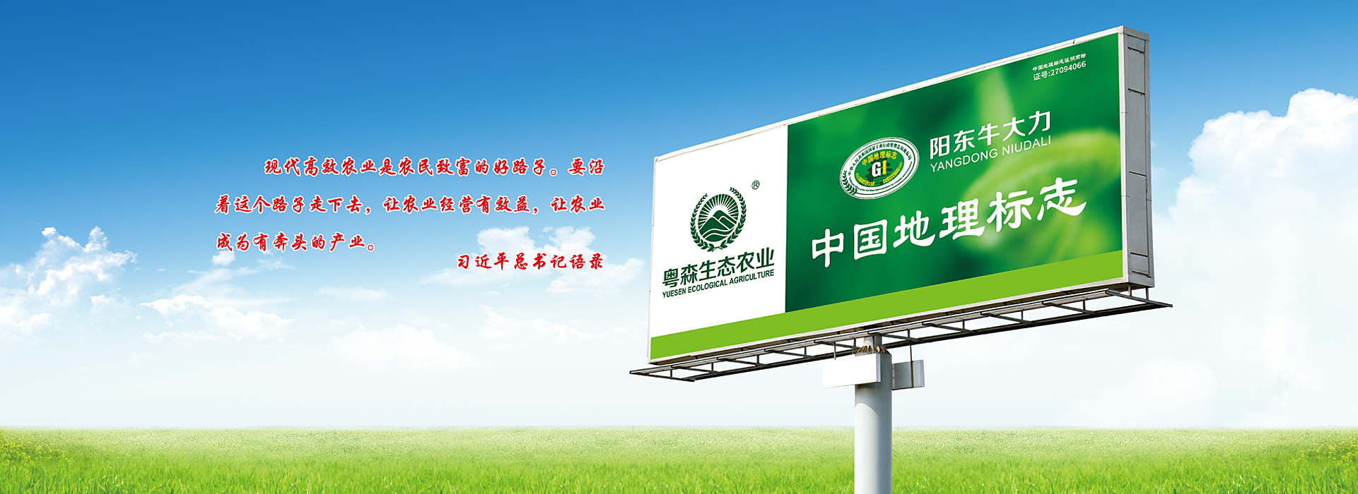 7799天天看影视牛大力（lì）