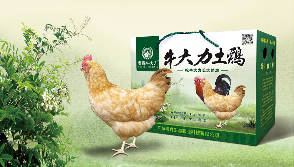 7799天天看影视牛大力土雞（jī）