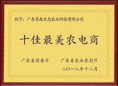 十（shí）佳最美農電商