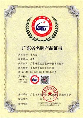 廣（guǎng）東名牌產品（pǐn）