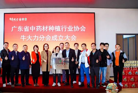 廣（guǎng）東（dōng）省中（zhōng）藥材種植行業協會（huì）牛大力分會成立